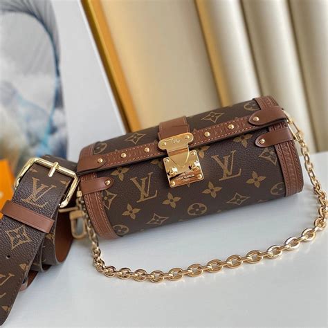 trunk louis vuitton bag|Papillon Trunk Monogram .